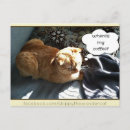 Suche nach reinigen postkarten Lustig