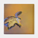 Suche nach ahornblatt magnete Herbst