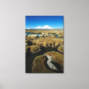 Suche nach der vulkan leinwandbilder Chile