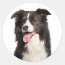 Suche nach hund an bord aufkleber Hundefreund