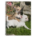 Suche nach fotograf kleine notizbücher Weiß