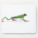 Suche nach rote augen mousepads Reptilien