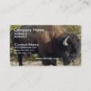 Suche nach büffel visitenkarten Bison