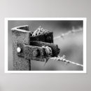 Suche nach stacheldraht poster Weide