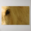 Suche nach graues pferd Pferdegeschenke