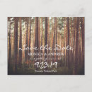 Suche nach wälder postkarten Bäume