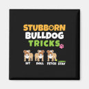 Suche nach tricks magnete Hund