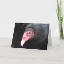 Suche nach geier karten Vogelvogel