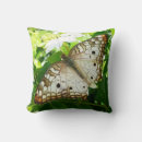 Suche nach jasmin kissen Fotografie