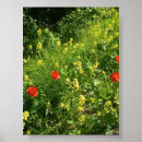 Suche nach sommerwiese poster Natur