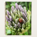 Suche nach blume abdeckung Natur