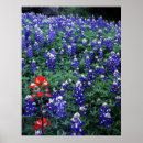 Suche nach malerpinsel poster Texas