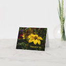 Suche nach gelbe blumen karten Fotografie