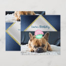 Suche nach französische bulldogge einladungen Haustier