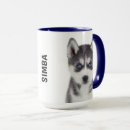 Suche nach husky tassen Hunderasse