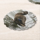 Suche nach enten untersetzer Vogelvogel