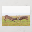 Suche nach geschöpfe einladungen Tiere