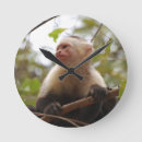 Suche nach affen wanduhren Zoo