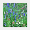 Suche nach texas wildblumen Blau