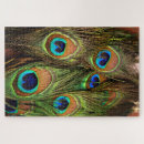 Suche nach peacock puzzle Fotografie