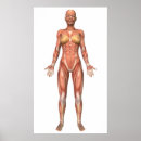 Suche nach sehne poster Kunstwerke