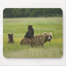 Suche nach usa mousepads National
