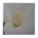 Suche nach kleine blumen fliesen Keramik