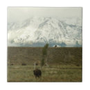 Suche nach bison fliesen Natur