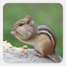 Suche nach chipmunks aufkleber Niedlich