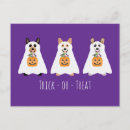 Suche nach trick or treat postkarten Kürbislaterne