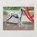 Suche nach dalmatinischen postkarten Hund