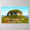 Suche nach pilot poster Landschaft