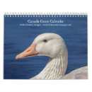 Suche nach gänse kalender Vogelvogel