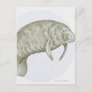 Suche nach herrenhaus poster Unterwasser