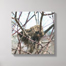 Suche nach kunst mit vögeln leinwandbilder Natur