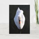 Suche nach einfachheit karten Elegant