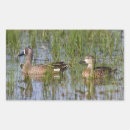 Suche nach weibchen aufkleber Vogel