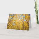 Suche nach sierra karten California