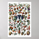 Suche nach küchendekor poster Illustration