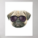 Suche nach hundeschlitten poster Haustiere
