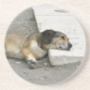 Suche nach dog untersetzer Fotografie