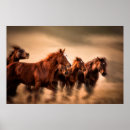 Suche nach mahn poster Tier