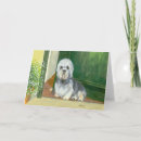 Suche nach salz karten Hunde