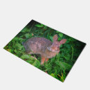 Suche nach kaninchen türmatten Tier