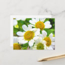 Suche nach zu hübsch postkarten Mother