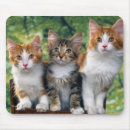 Suche nach miezekatze mousepads Tiere