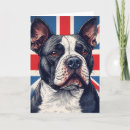 Suche nach bull terrier karten Staffie