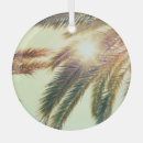 Suche nach kokosnuss ornamente Palme