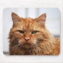 Suche nach katzenartig mousepads Maus