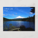 Suche nach trillium Natur